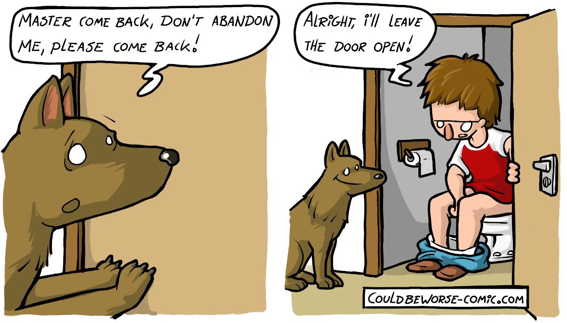 Анекдоты про стрижку собак